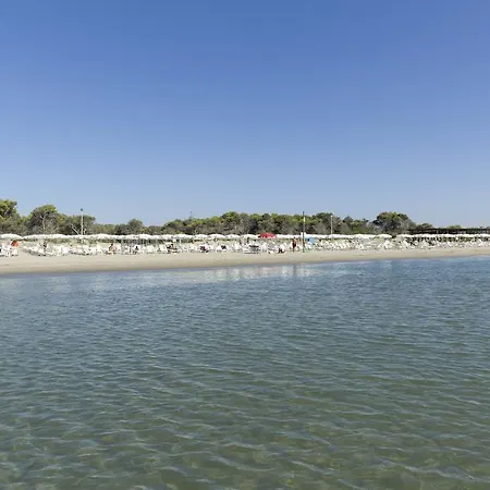 リゾート Argonauti